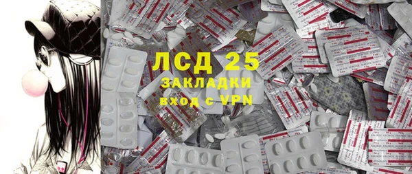гашик Краснослободск