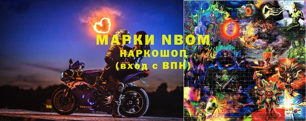 гашик Краснослободск