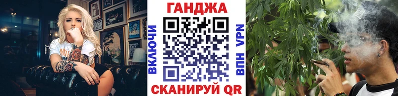 Конопля сатива Гаврилов-Ям